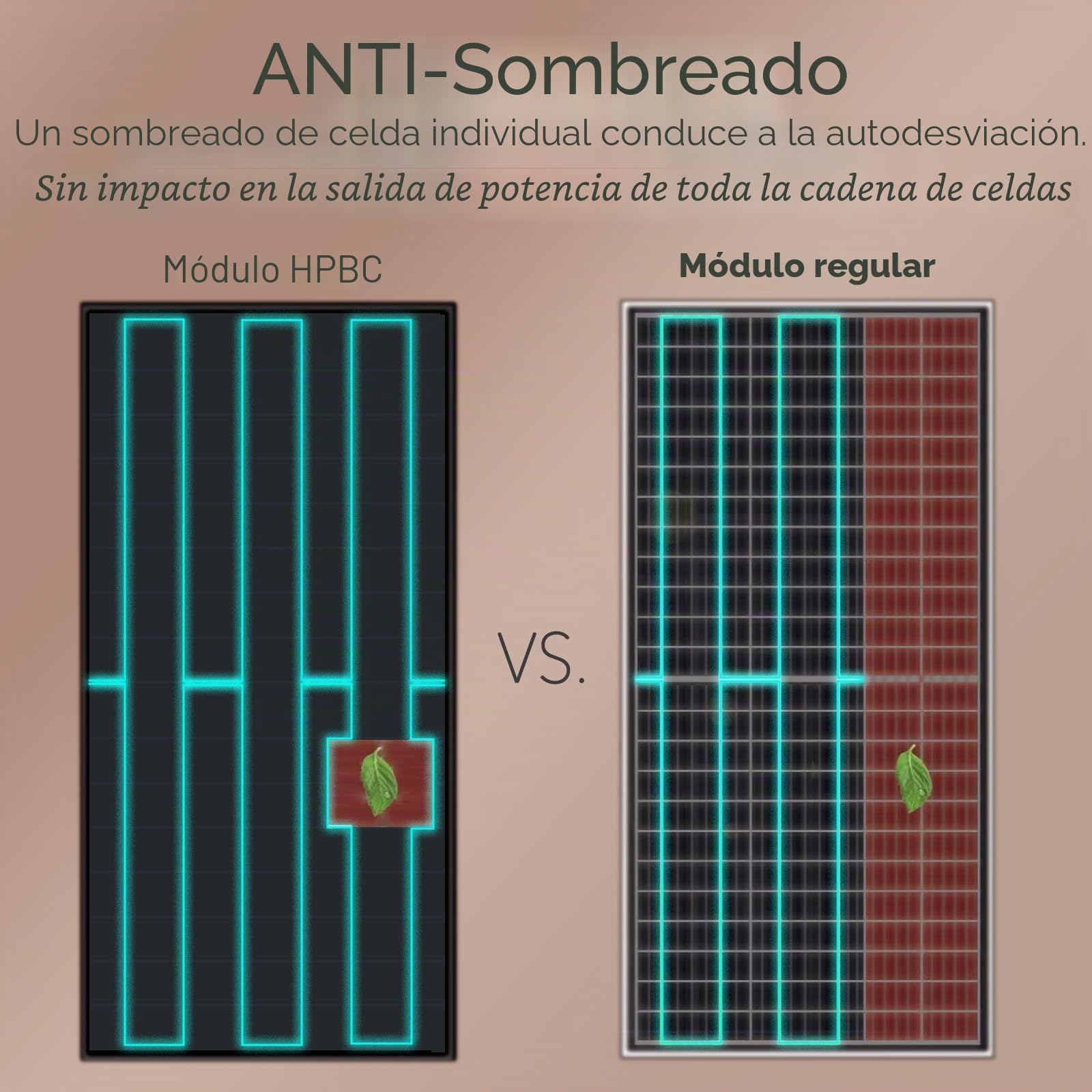 enjoy solar® Panel solar monocristalino 100W 12V con tecnología HPBC – Alta eficiencia 25%, células solares de 182mm, Full Black, ideal para autocaravana, balcones, caseta de jardín y barco