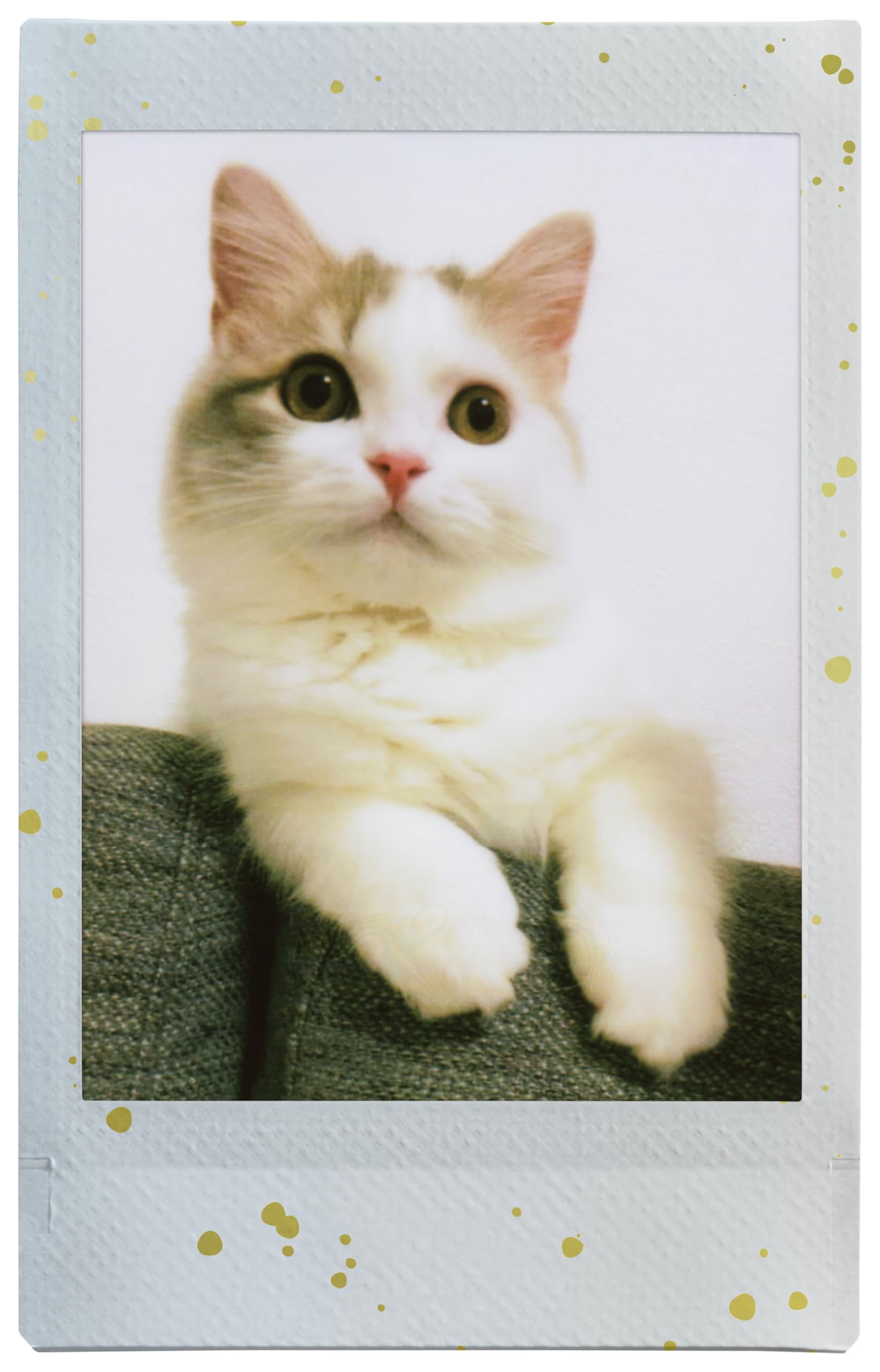 Fujifilm instax mini Film, Pellicola Istantanea "Soft Glitter", Formato 46x62mm, Confezione da 10 Foto