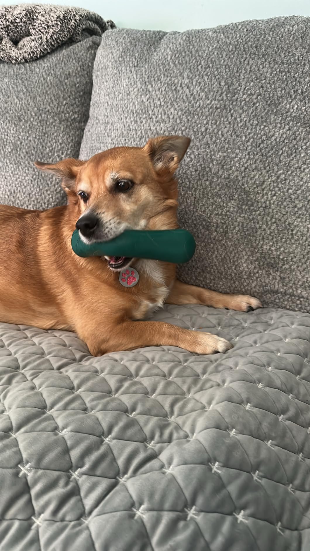 Refill pack contents