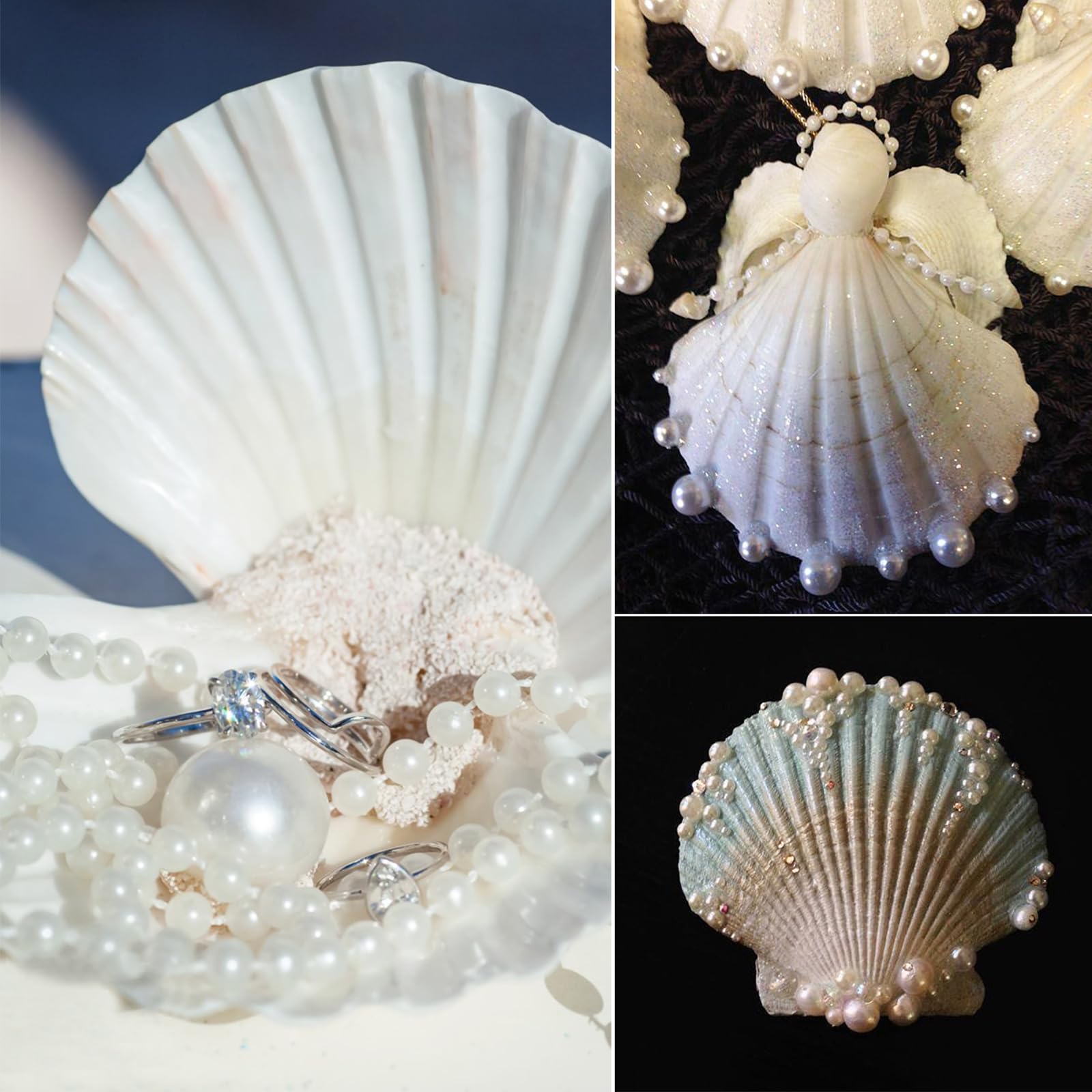 TaoQ C 20 PCS Scallop Shells Natural Seashell - Image 3