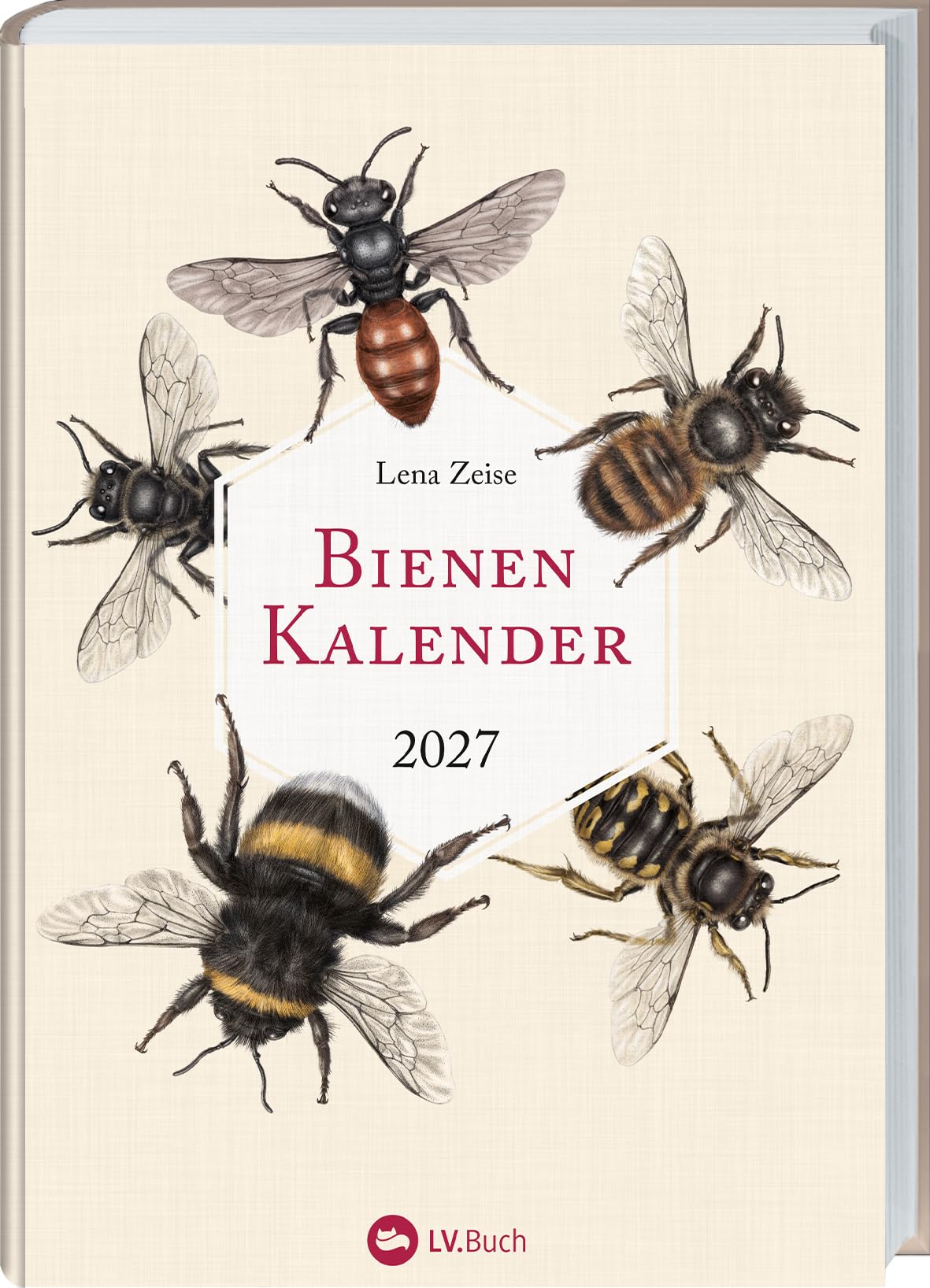 Bienenkalender 2027: Mit einer praktischen Wochenübersicht und bezaubernden Illustrationen. Für Bienen- und Naturliebhaber: Organisieren, beobachten & entdecken mit dem praktischen Taschenkalender.