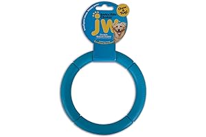 JW Pet Company Invincible Chains LS Single Dog Toy, Large - Indestructible Dog Ring