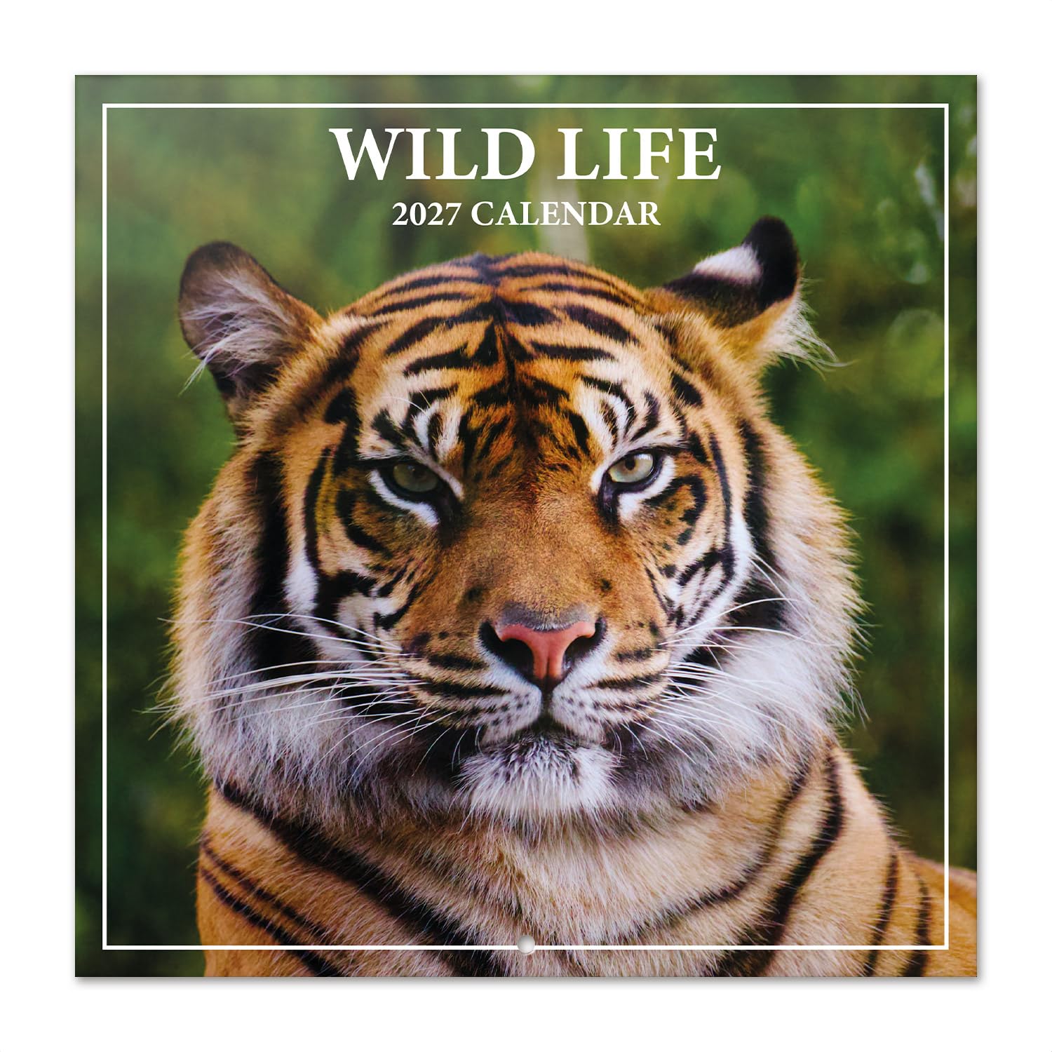 Grupo Erik Wildlife Wall Calendar 2027 UK - Animal Gifts