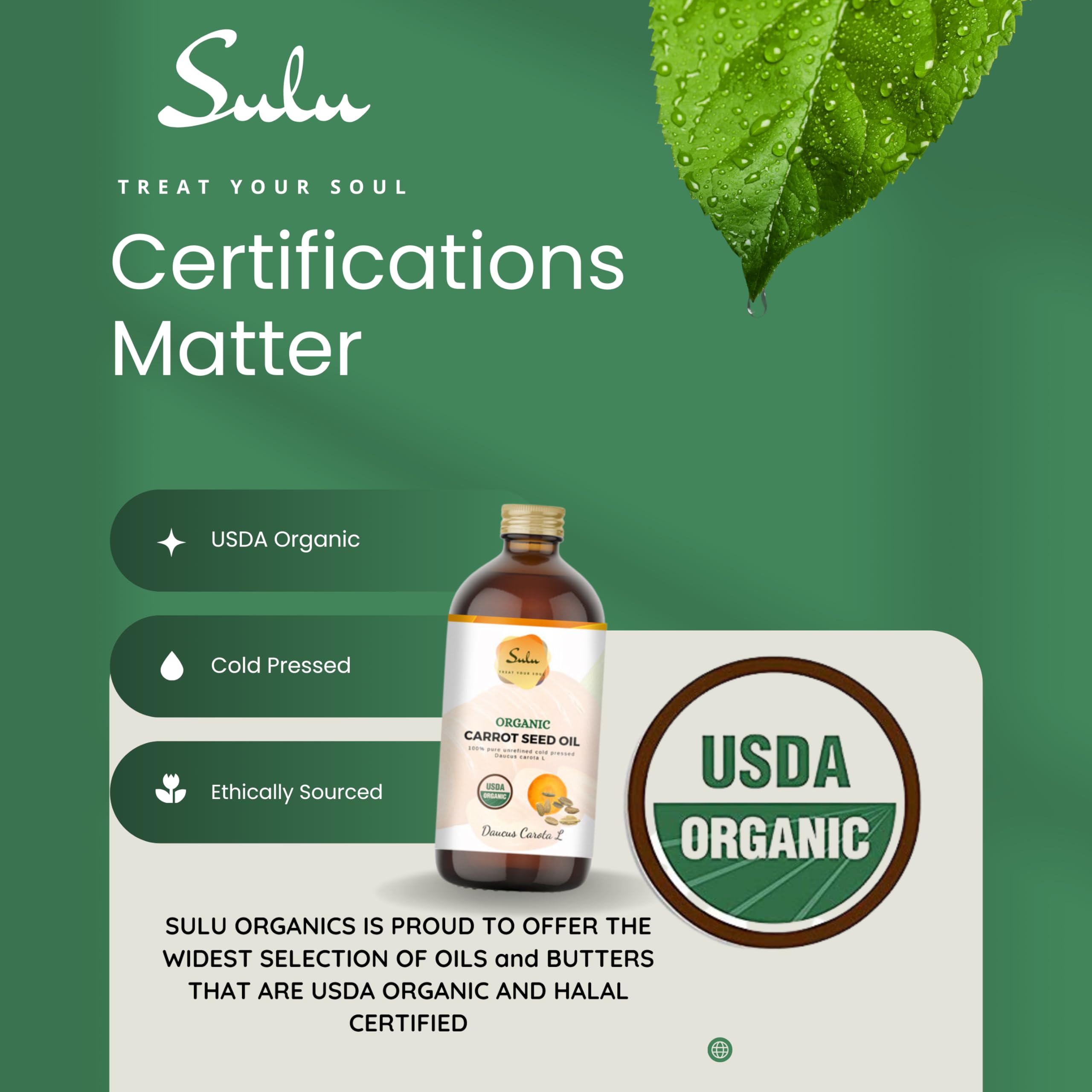 SULU ORGANICS Carrot Seed Oil- USDA Organic Cold Pressed Unrefined (16 oz)