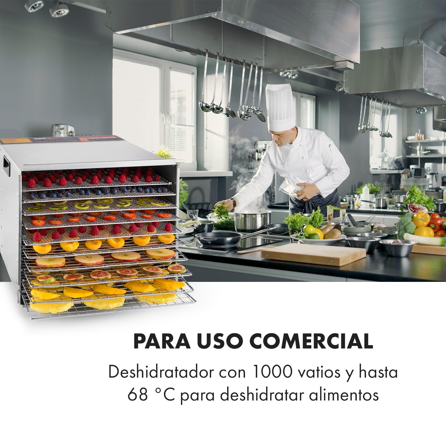 Klarstein Fruit Jerky Pro - Deshidratador de alimentos, Extraíble individualmente, Temperatura ajustable, Amplia superficie de secado, Temporizador, Ventilador, 1000 vatios, 10 niveles, plata