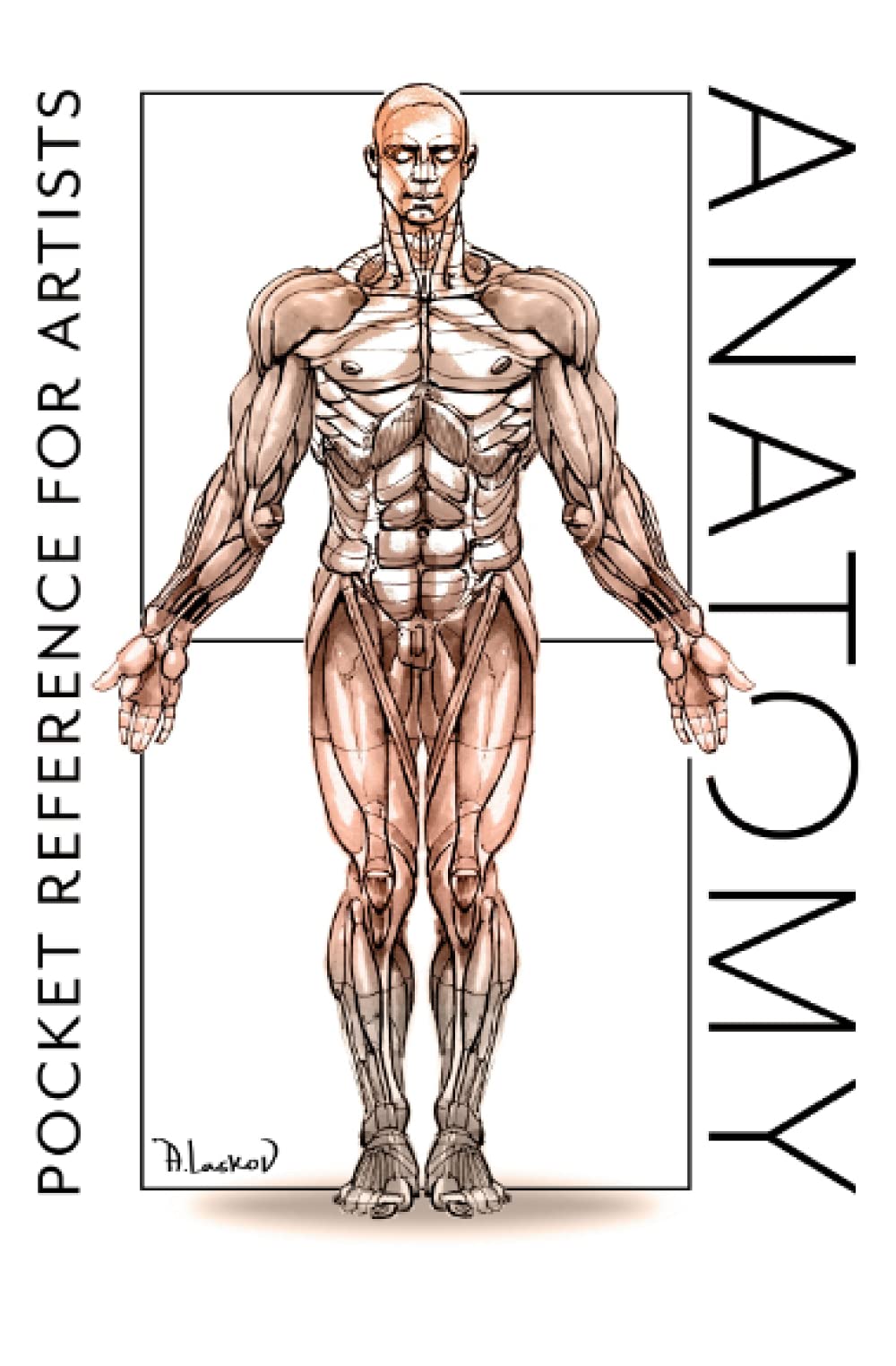 Anatomy: Pocket Reference for Artists