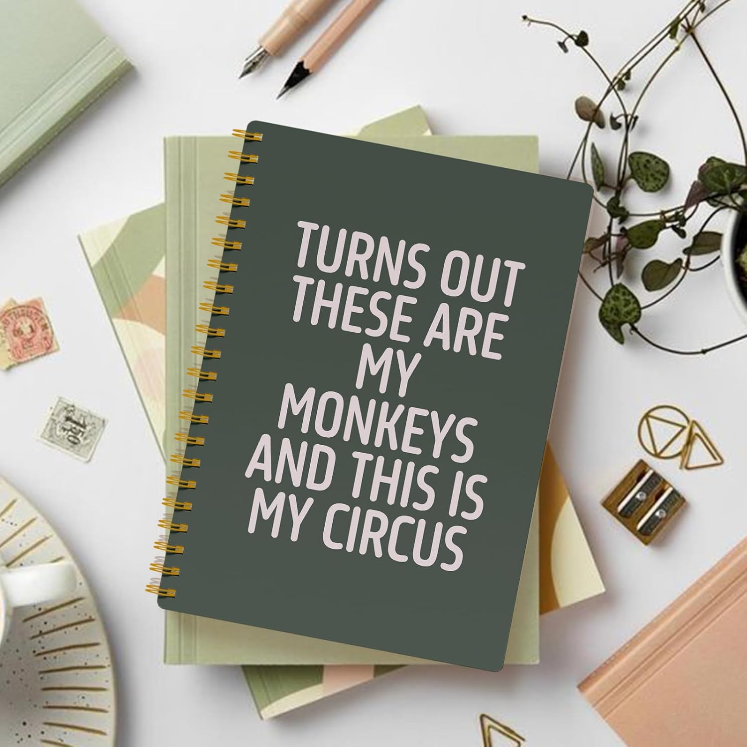 Funny Notebooks for Work, Green Aesthetic Journal, Funny Boss Day Gifts, Boss Gifts for Men Women, Funny Gifts for Boss, Boss Office Decor, Spiral Notebook 5.5x8.3 Inch - Image 6