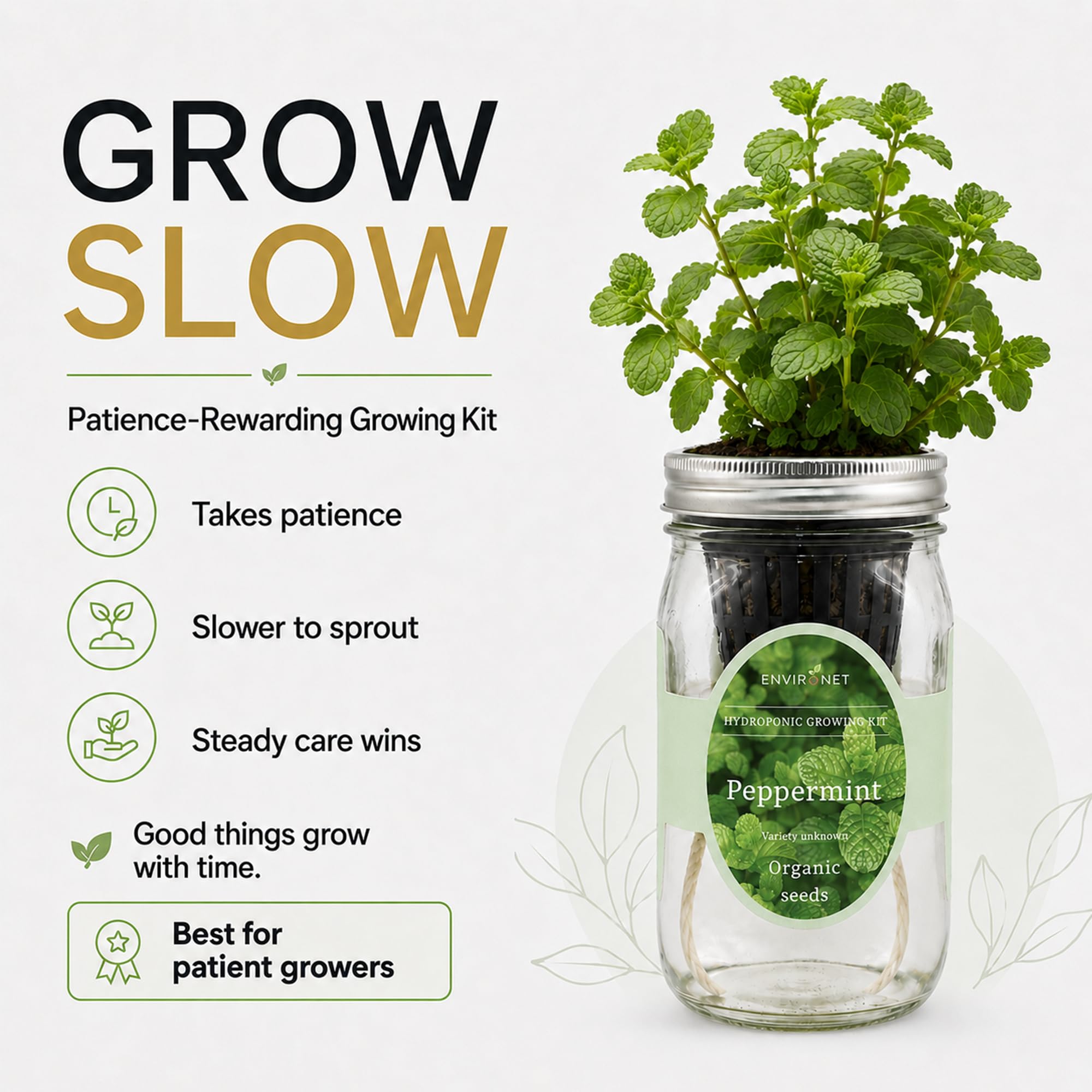 Kit per la coltivazione di erbe idroponiche, kit per la coltivazione di erbe aromatiche da giardino con vaso autoirrigante, per coltivare le tue erbe dai semi (menta piperita)