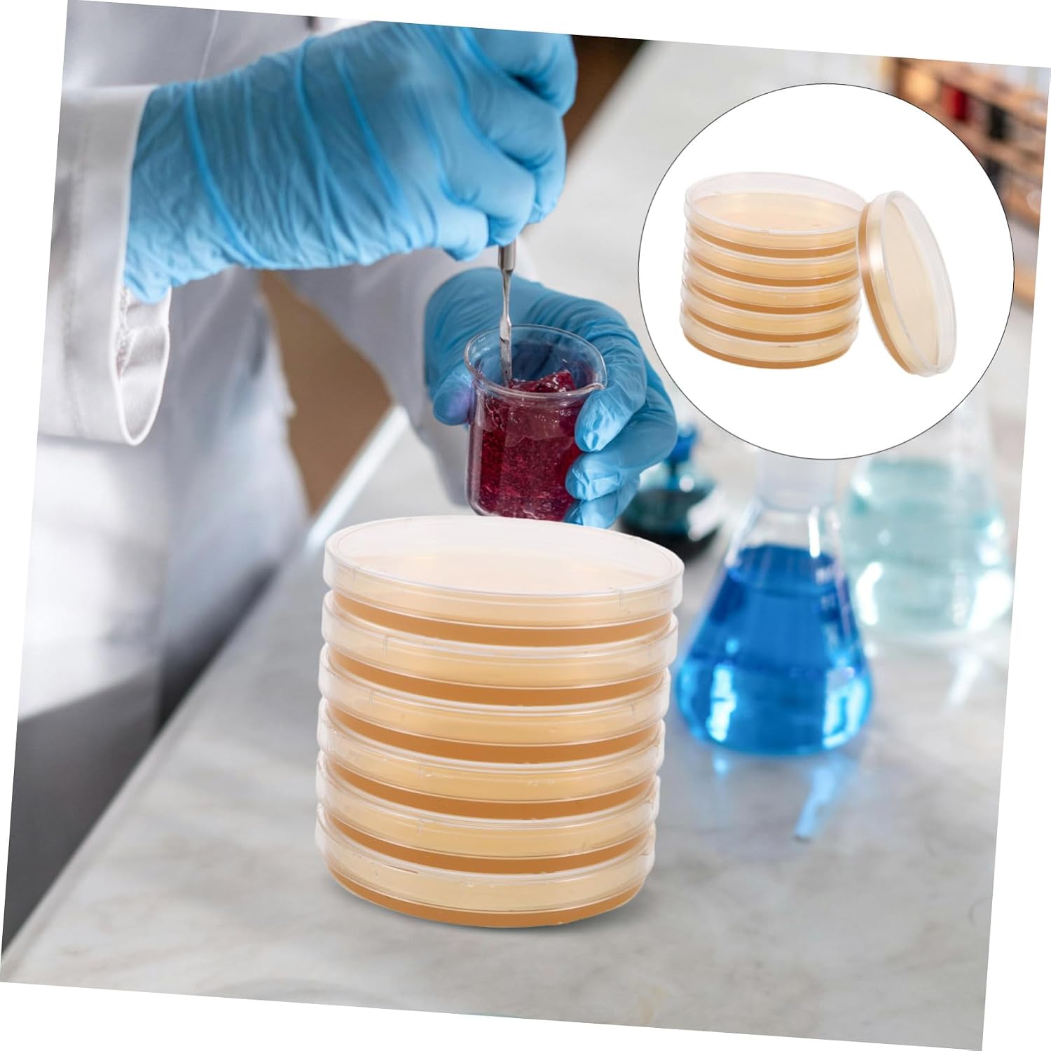 Homoyoyo 6pcs Nutrient Agar Plates: Laboratory Use Round Petri Dishes for Cell Culture - for Stem Science Projects