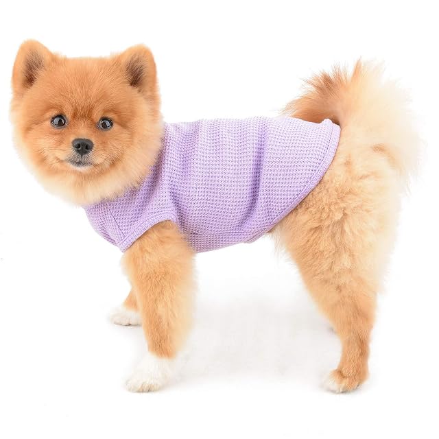 Foto 2 de 8 de PAIDEFUL Camisas para Perros Pequeños Medianos Gatos Niño Chaleco de Algodón Suave Camisetas sin Mangas…