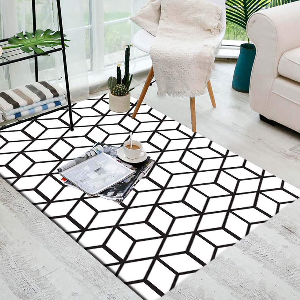 Tapis de porte d'entrée anti-poussière 3D lavable pour entrée et salon