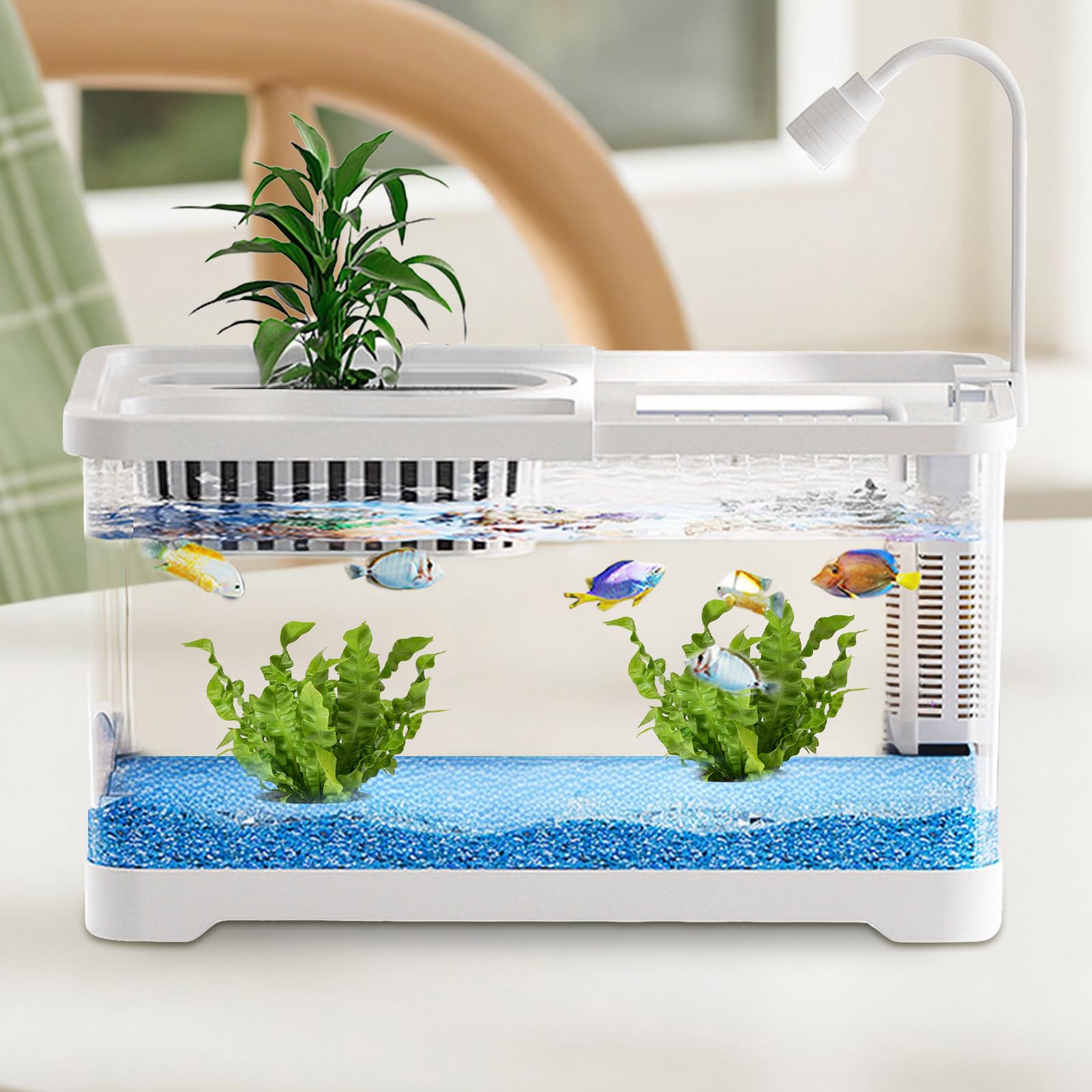Pecera,Peceras Transparentes para Peces Betta con Filtro | Bola Decorativa Transparente para Escritorio de Oficina Hogar Sala Dormitorio para Medusas Caracoles Tortugas