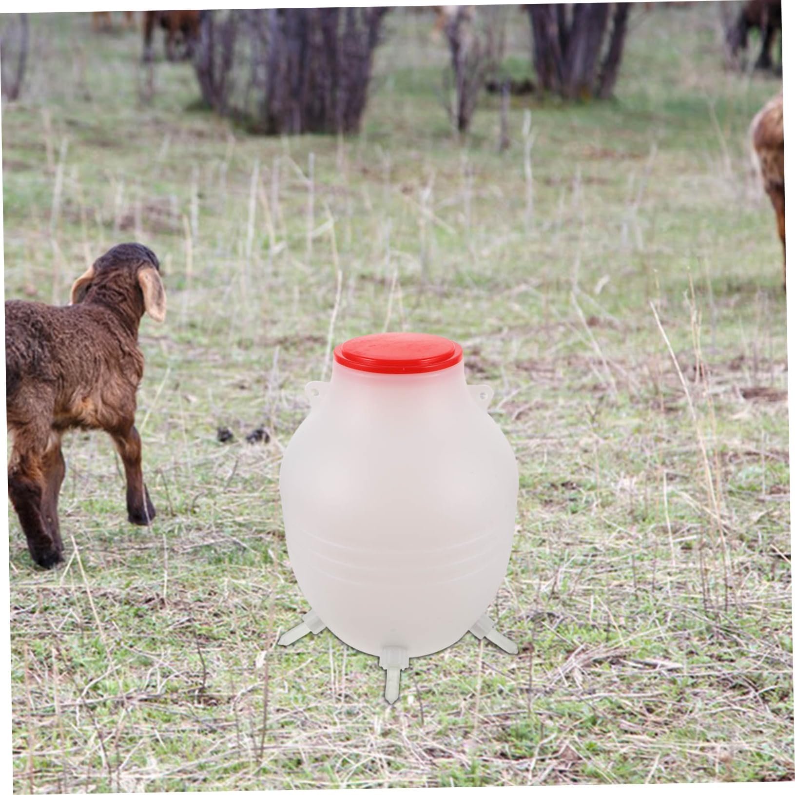BESPORTBLE Biberon Per Agnelli e Capre Dispositivo Alimentazione Biberon Latte Agnello Latte Capra Animali Per Allevamento