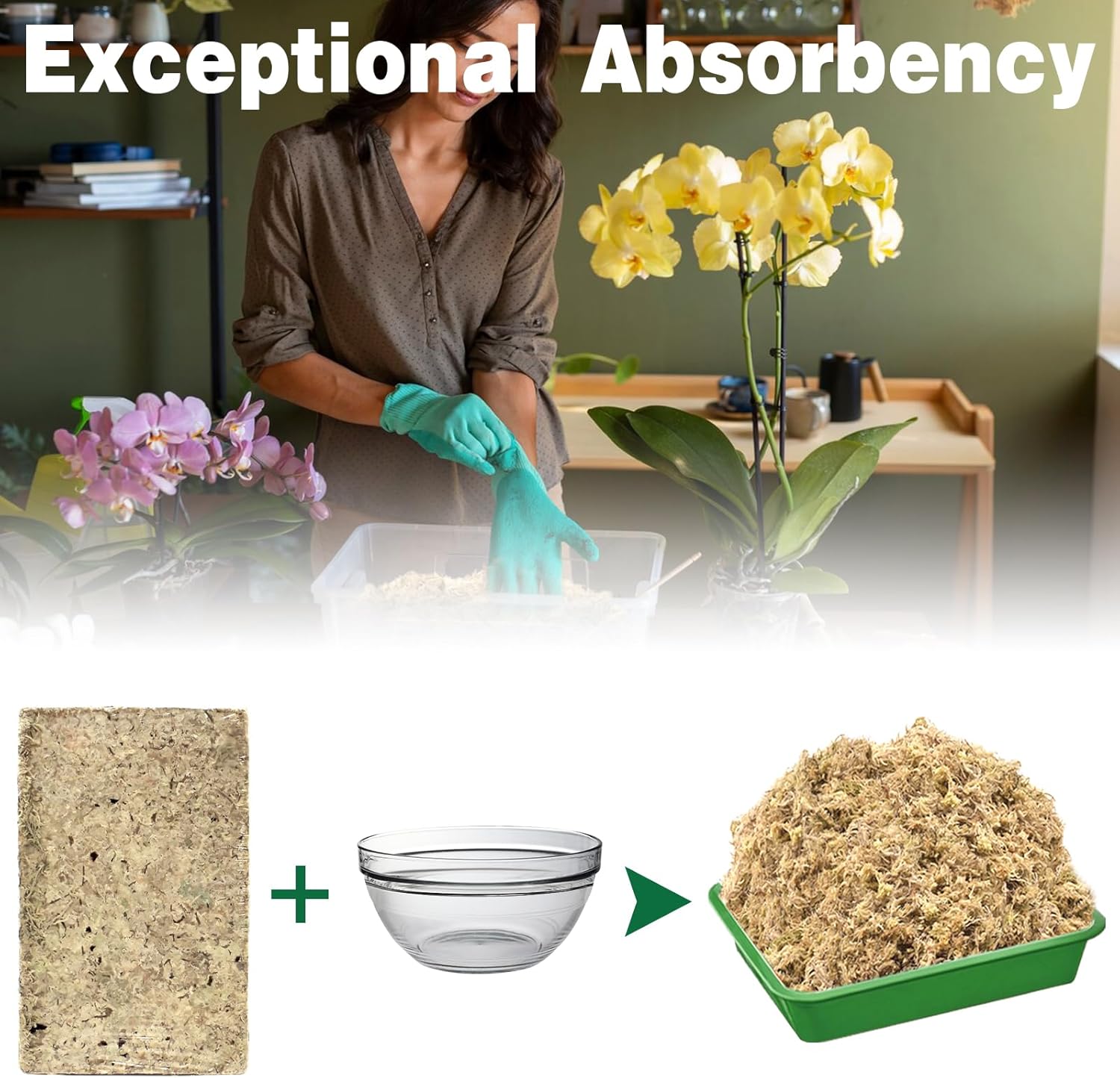 ZeeDix 6L Premium Sphagnum Moss for Plants Indoor, New Zealand Sphagnum Moss for Orchid Potting Mix Terrarium Succulent Carnivorous Ferns Hosta Garden & Reptile Habitat - Image 5