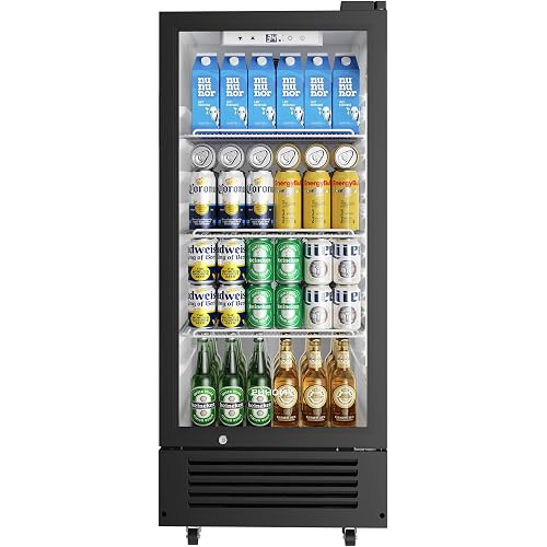 EUHOMY 6 Cu.Ft Commercial Refrigerators with Double-Tempered Glass Door, Beverage Refrigerator with Lock and Adjustable Shelves, Display Fridge with LED Light for Bar, Office, Restaurant, ETL Listed