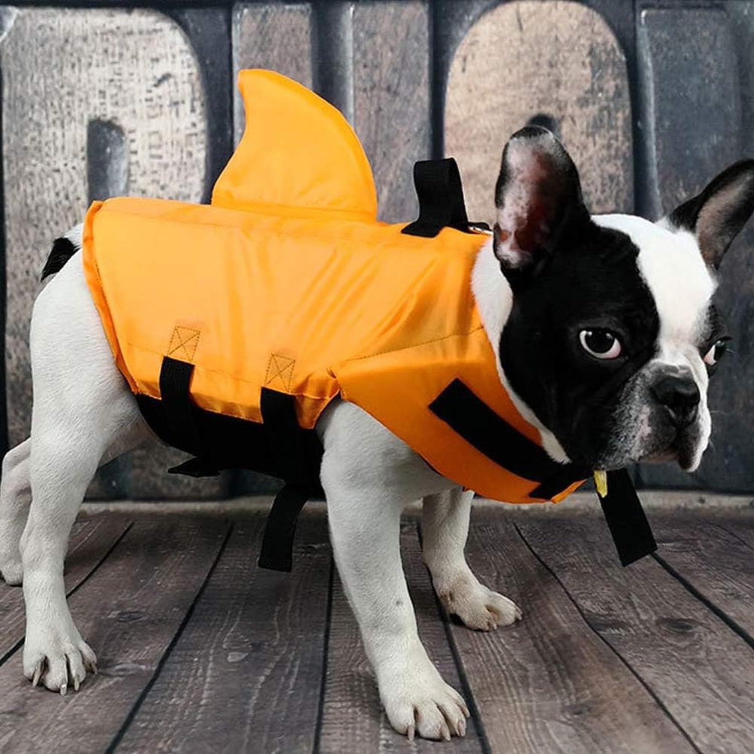 Chaleco Salvavidas para Perros, Flotador de Mascotas de Ripstop, Vestido de Baño de Seguridad Acuática para Perros Pequeños, Medianos y Grandes, para Piscina, P, Orange, XXL
