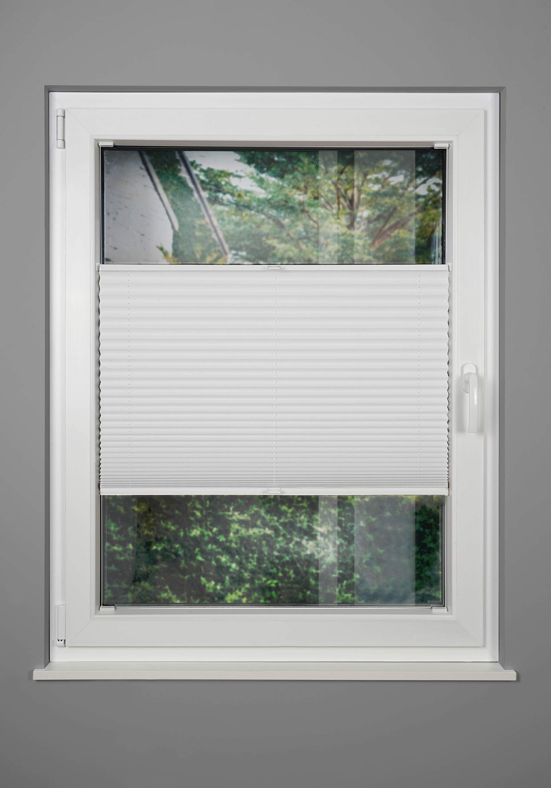 Plissee nach Maß Thermo für Fenster innen Montage in Glasleiste mit Spannschuh Sonnenschutz-Rollo Lichtschutz Blickdicht leichte Verdunkelung Weiß B: 51-60 cm, H: 40-100 cm