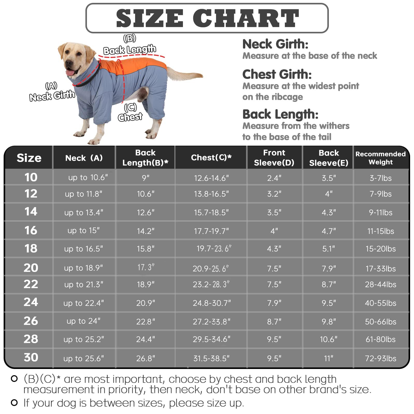 Toasty - Abrigo cálido de cuerpo completo para perros, chaquetas de nieve reflectantes resistentes al viento para perro, con cremallera, forro grueso y anillo para correa, azul neblina, 16