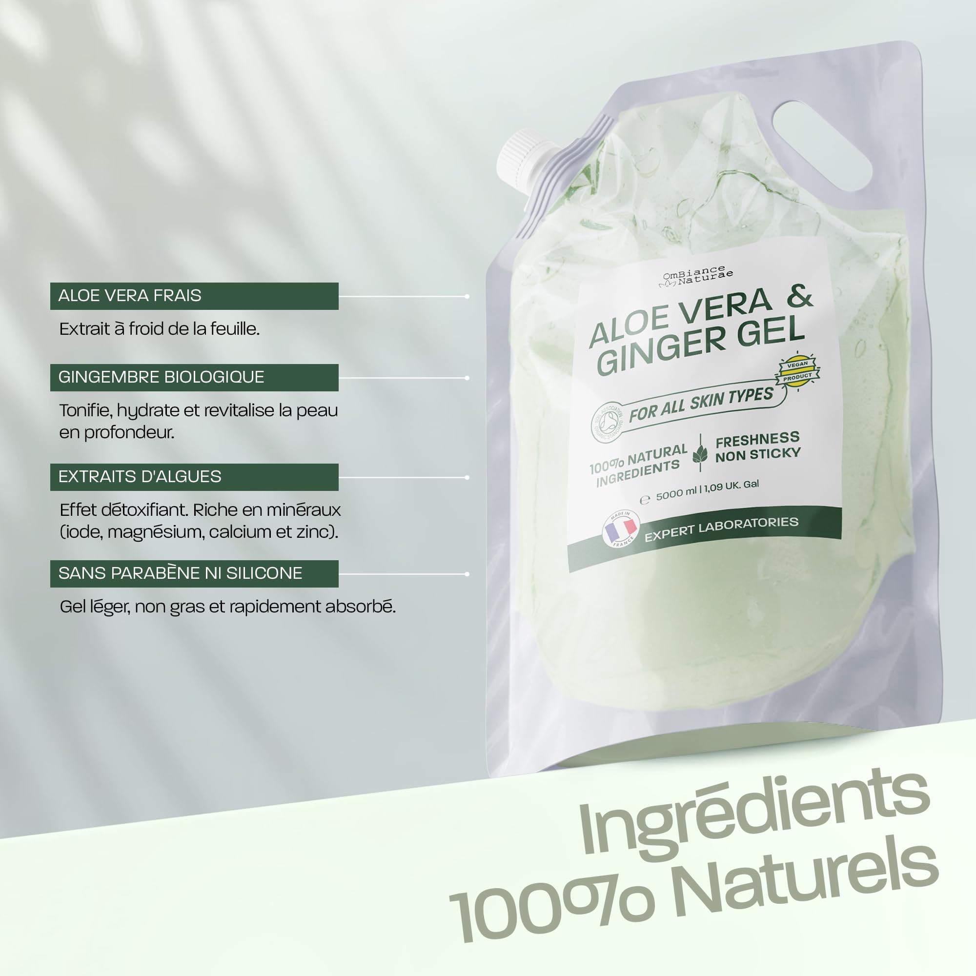 Gel Aloe Vera & Gingembre – Soin Naturel à Base de Feuille Fraîche – Hydratant, Tonifiant & Raffermissant – Visage, Corps, Cheveux – Après-Soleil, Jambes Lourdes – Aloe Écologique (5000)