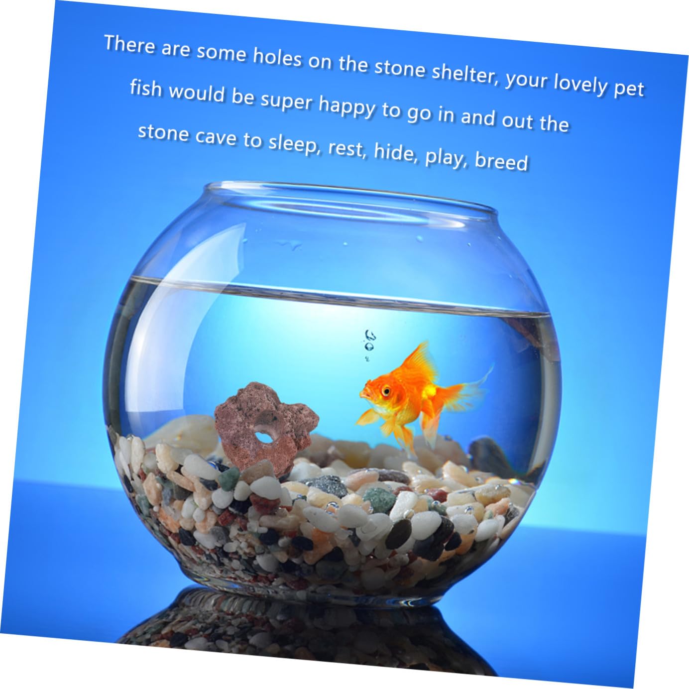 Didiseaon 10pièces Abri pour Poissons Roche Naturelle Décoration Aquarium Forme De Grotte Habitat pour Poissons Eau Douce Et Eau De Mer