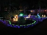 Review Image by Lynn Lynn