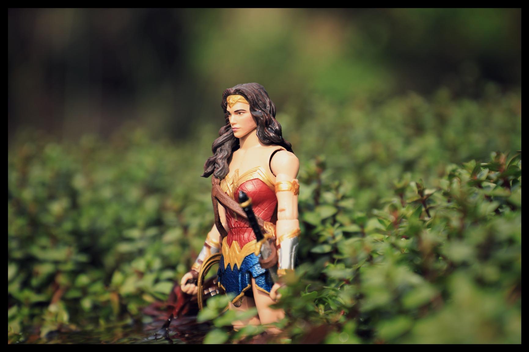 Mattel Justice League Multiverse Figure - Wonder Woman (6 inch ...