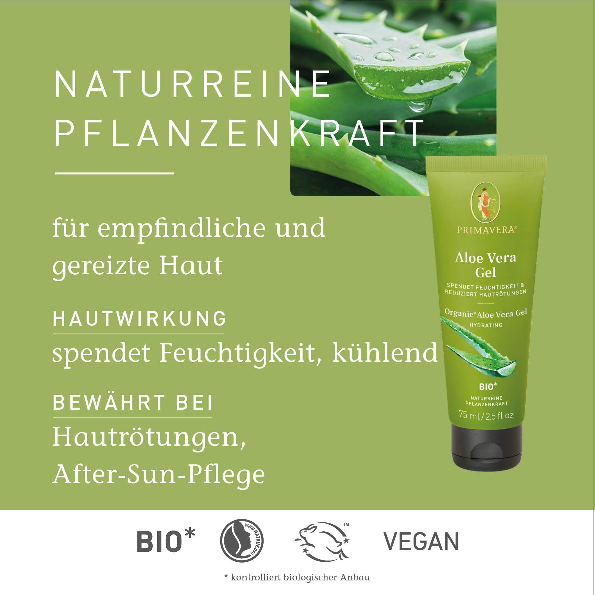 PRIMAVERA Aloe Vera Gel bio* 6 x 75 ml – naturreine Pflanzenkraft – mit frischem Aleo Vera Saft – After-Sun-Pflege – duft- und farbneutral – feuchtigkeitsspendend – reduziert Hautrötungen – vegan