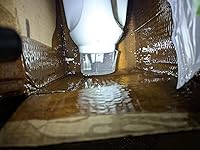 Review Image by N. Obbards N. Obbards