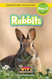 Rabbits: Animals in the City (Engaging Readers, Level Pre-1)