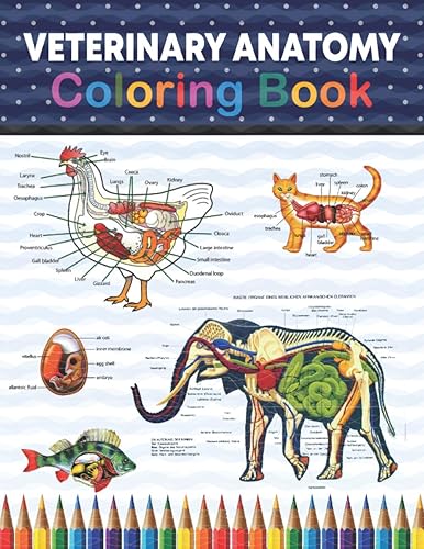 Veterinary Anatomy Coloring Book: Veterinary Physiology Animals Workbook and Coloring. Perfect gift For Vet Students and even Adults. Veterinary ... Anesthesia. Vet tech coloring books.