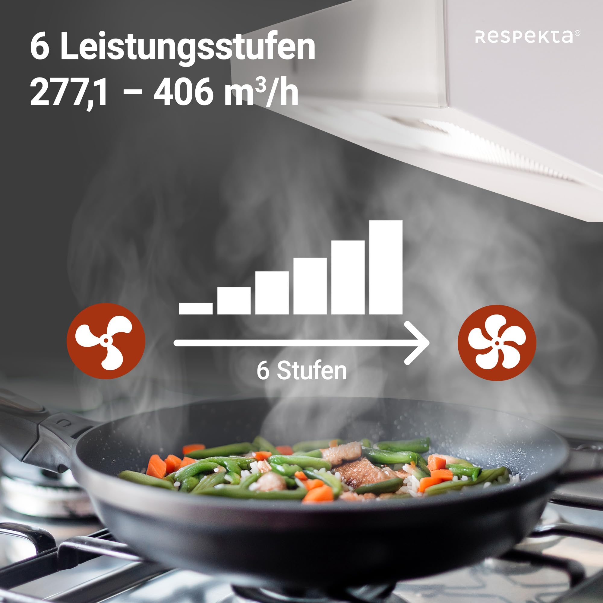 Respekta Dunstabzugshaube unterbau Sanja 60 cm Metallgehäuse Weiß Umluftbetrieb CH12060 W-21 A+ 55–64 dB