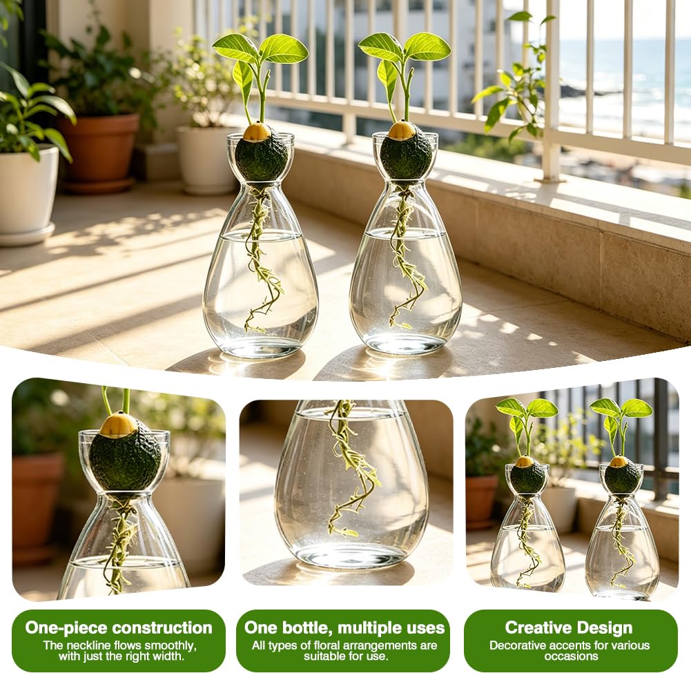 Terrario per piante idroponiche, 2 pezzi, stazione di coltivazione idroponica, vaso per semi di avocado, per gli amanti delle piante, decorazione da tavolo per casa e ufficio, piante acquatiche o