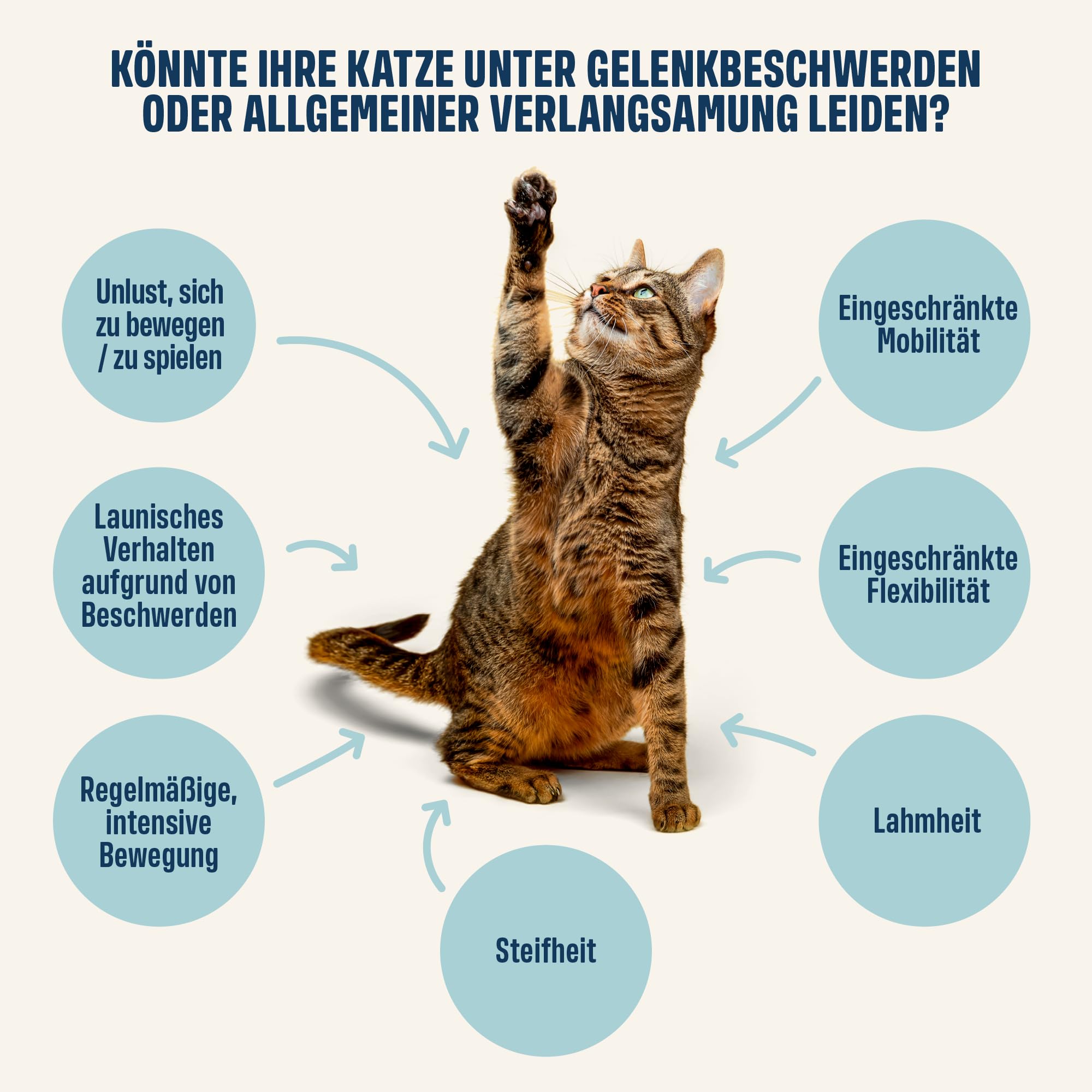 ivvi Gelenk Essenz für Katzen – Schlecksnack mit Glucosamin, Chondroitin, Grünlippmuschel & Lachsöl – zur Unterstützung der Gelenke – 30x15g – mit echtem Thunfisch