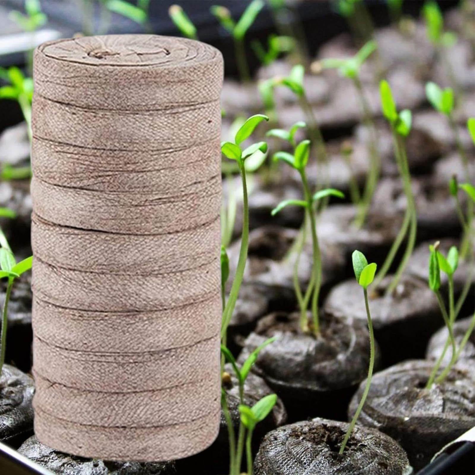 Pellets de suelo para inicio de plantas, vainas de turba - 50 Uds. De bolitas de tierra comprimidas para iniciar plantas,Suelo de jardín para plantas de inicio a granel, compacto y conveniente, para c