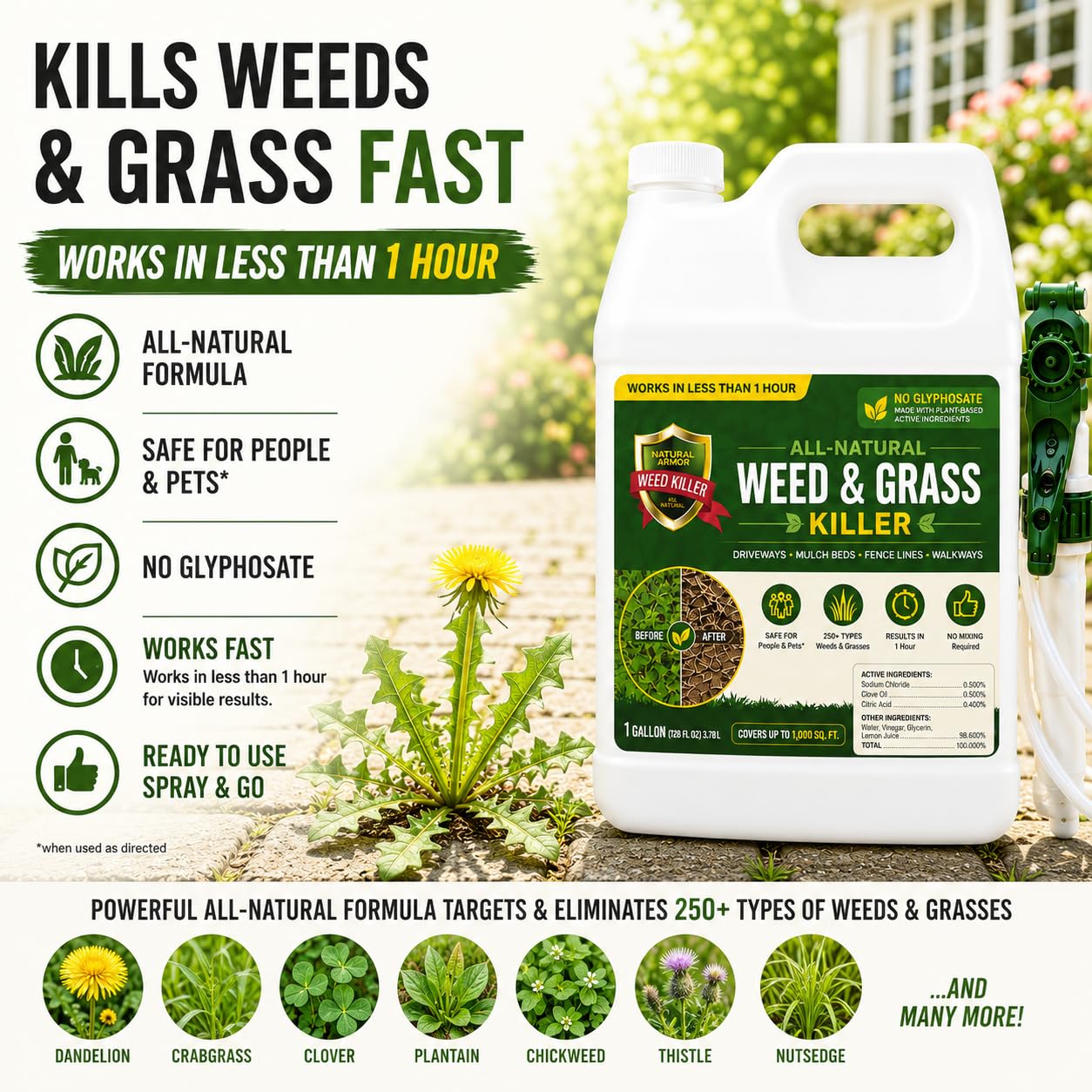 Natural Weed Killer - No Glyphosate! -3