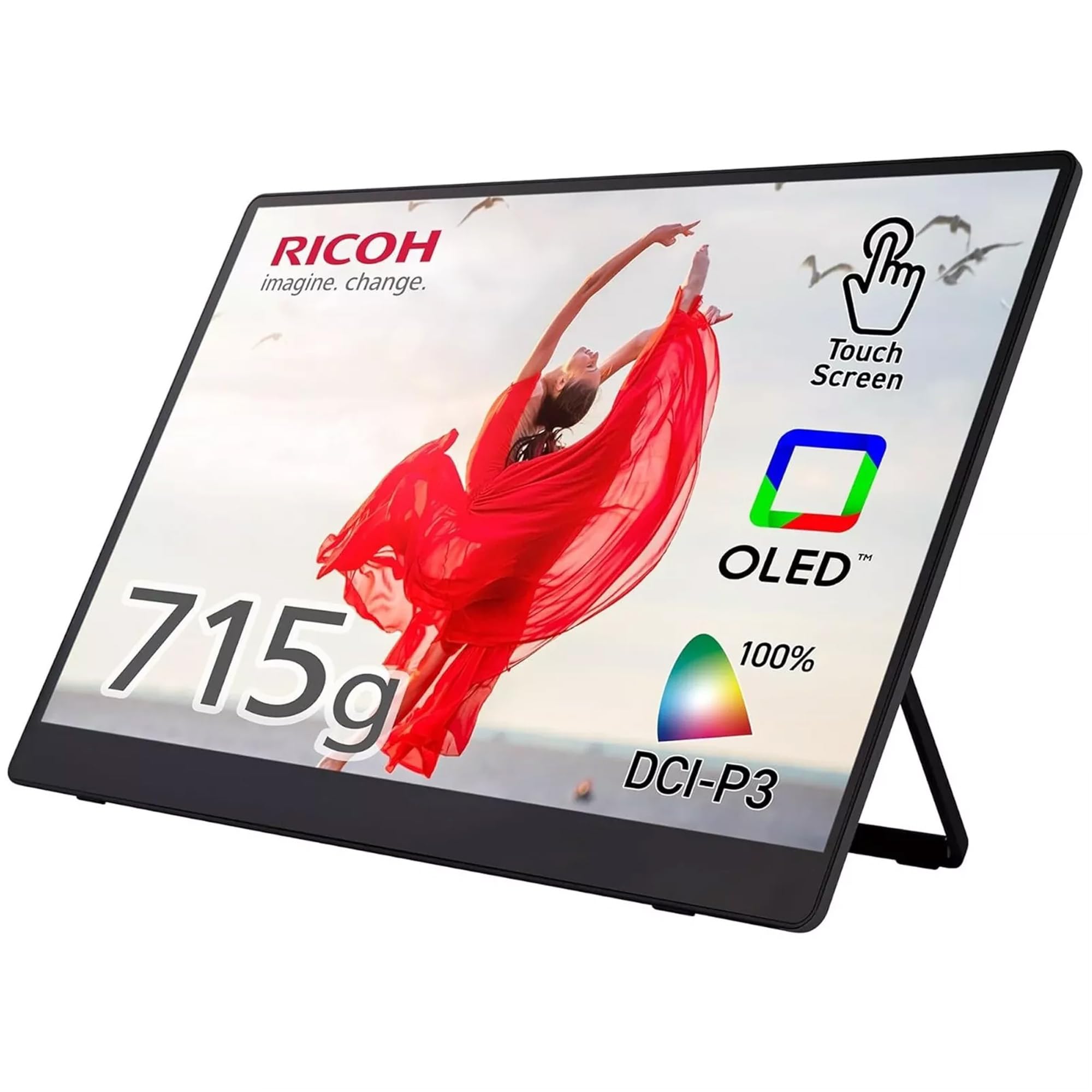 Amazon.co.jp: RICOH Portable Monitor 150BW （無線・有線モデル  