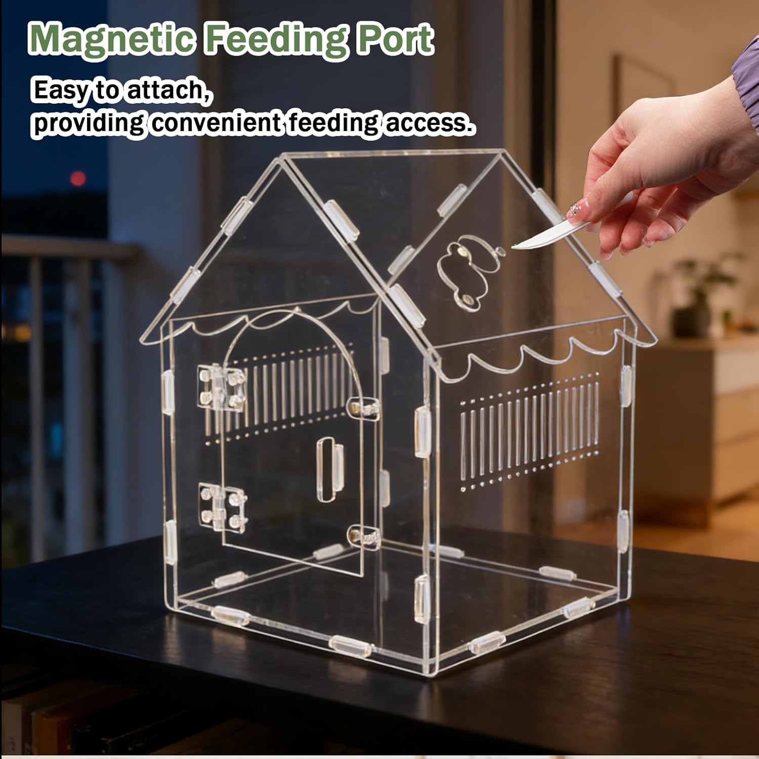 Acrylic Jumping Spider Enclosure, 8"x8"x12" Portable Tarantula Habitat with Ventilation, Clear Small Reptile Terrarium Tank for Pet Insects