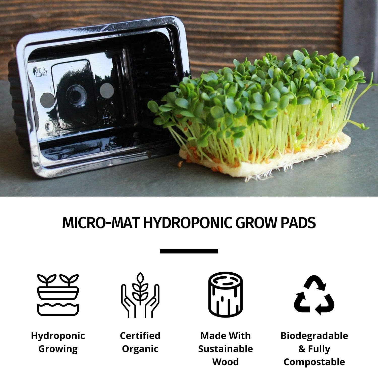 Handy Pantry Micro-Mat Minis Hydroponic Grow Pads - for Organic Production - Plant & Seed Germination: Wheatgrass, Microgreens, More - 4" x 4" to Fit 5" x 5" Greenhouse Plant Trays (240)