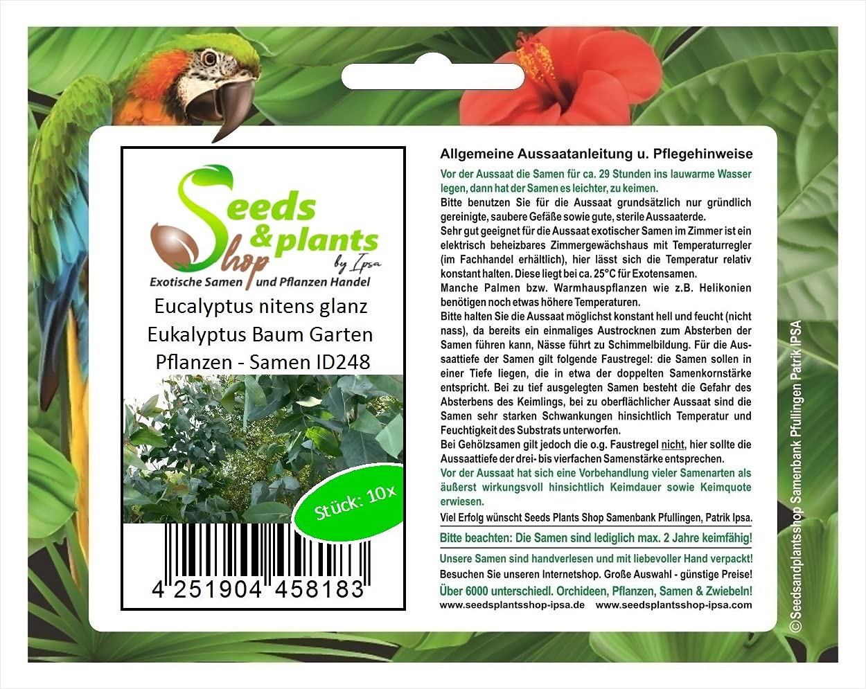 10 Graines Eucalyptus Nitens Brillant (Shining Gum) – Arbre à Croissance Rapide Pour Jardin
