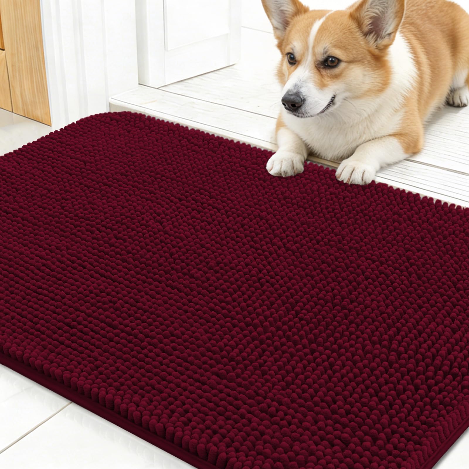 OLANLY Dog Door Mat for Muddy Paws 24x16, Super Absorbent Chenille Mud Mat โ image 1