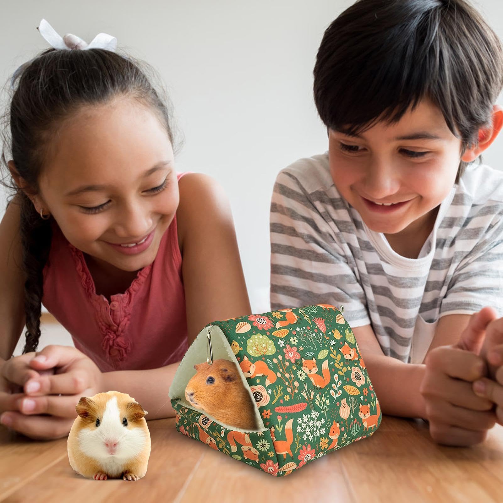 Vind hamsterkooien in Knaagdieren en Konijnen