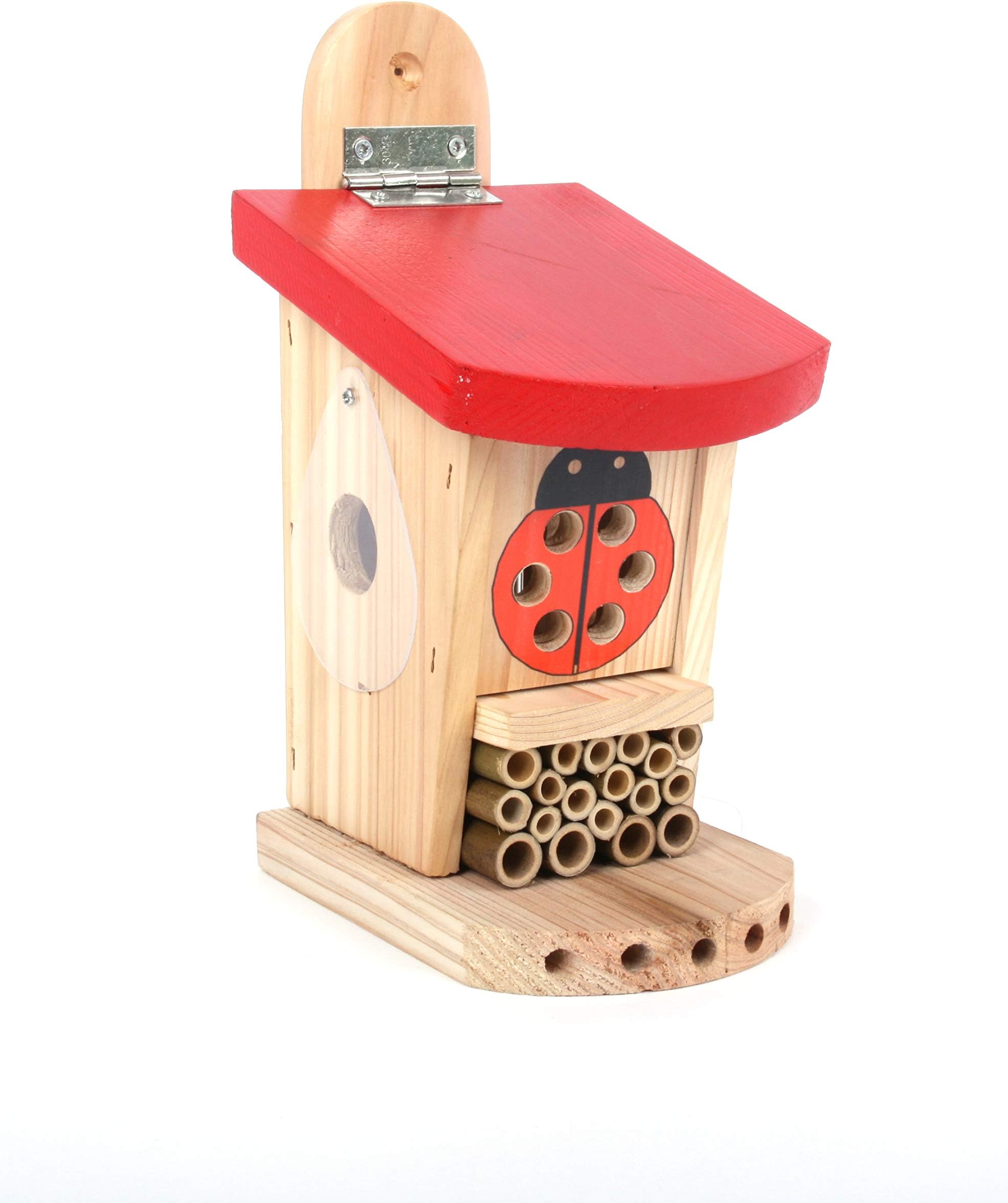 Wildlife World LBT4 Live Ladybird Lodge, Red/Brown