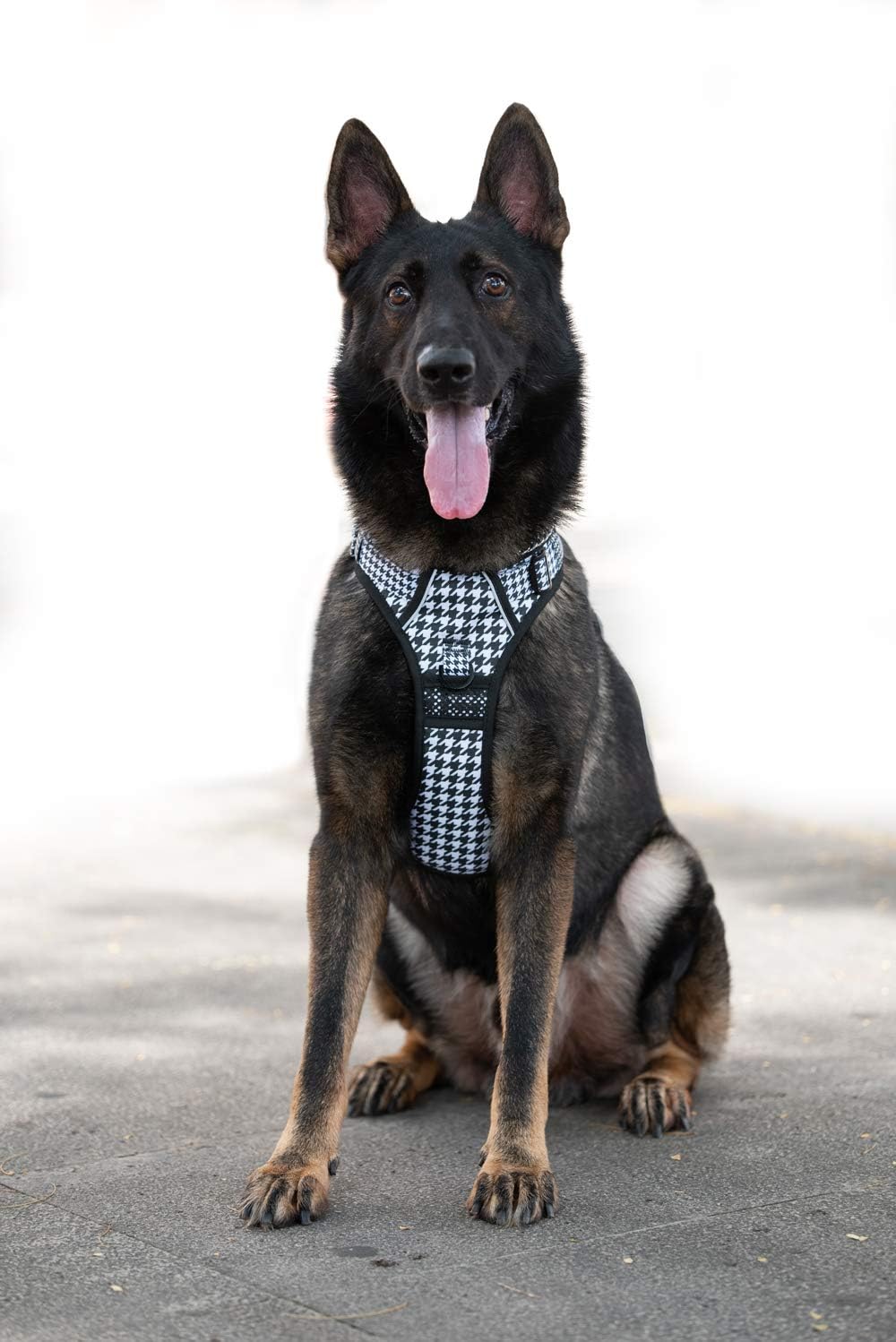 PoyPet No Pull Dog Harness, [Release on Neck] Reflective Adjustable No Choke Pet Vest with Front & Back 2 Leash Attachments, Soft Control Training Handle for Small Medium Large Dogs(Houndstooth,XL)