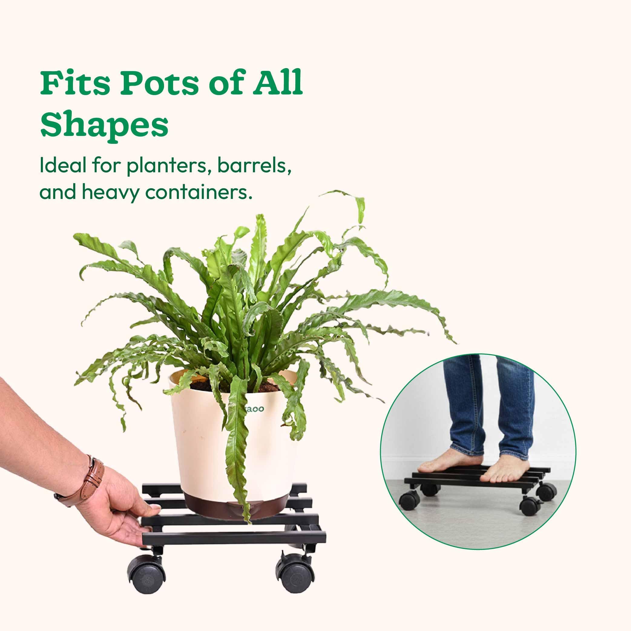 UGAOO Rolling Plant Stand – Heavy-Duty & Lockable -7