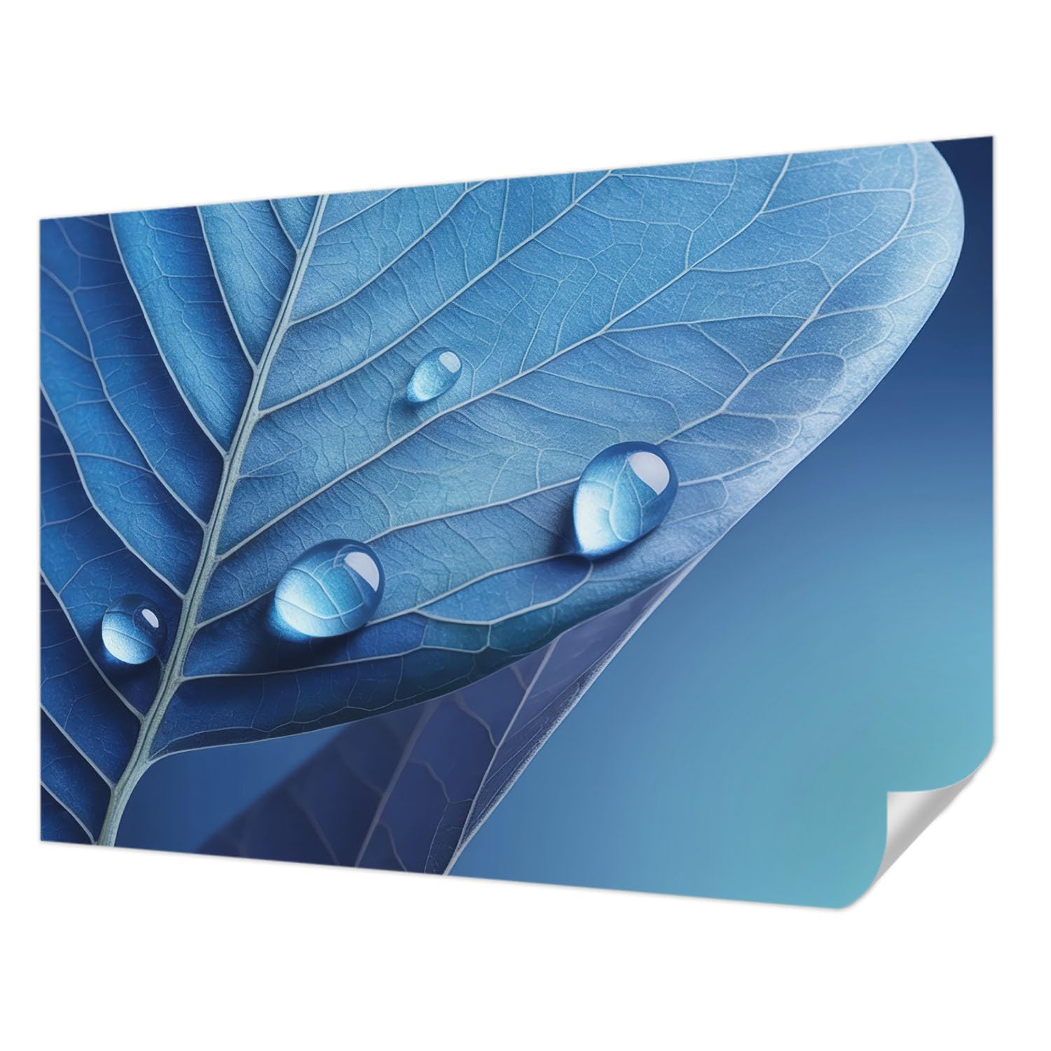 Papier peint autocollant 208x146 cm feuille bleue décoration murale de salon