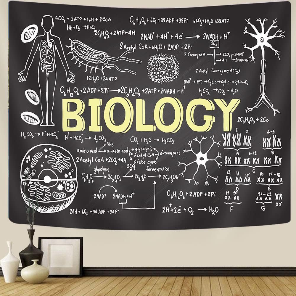 Science Tapestry Wall Hanging, Educational Black Chalkboard