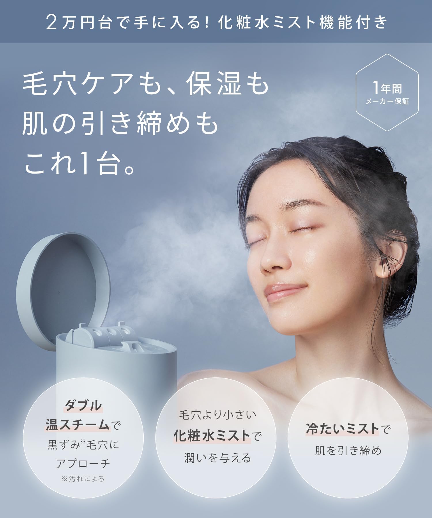 Amazon.co.jp: SALONIA サロニア ピュアブライト スチーマー