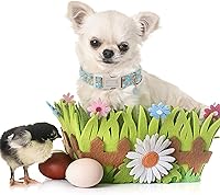 Vista 262 de Unique Style Paws - Collar rosa con hebilla de metal, duradero y lindo para perros pequeños a grandes