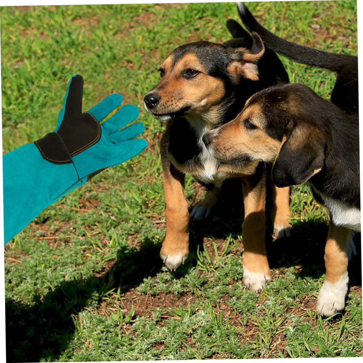 UPKOCH Guantes Antimordeduras para Perros y Gatos de Manga Larga, Azul