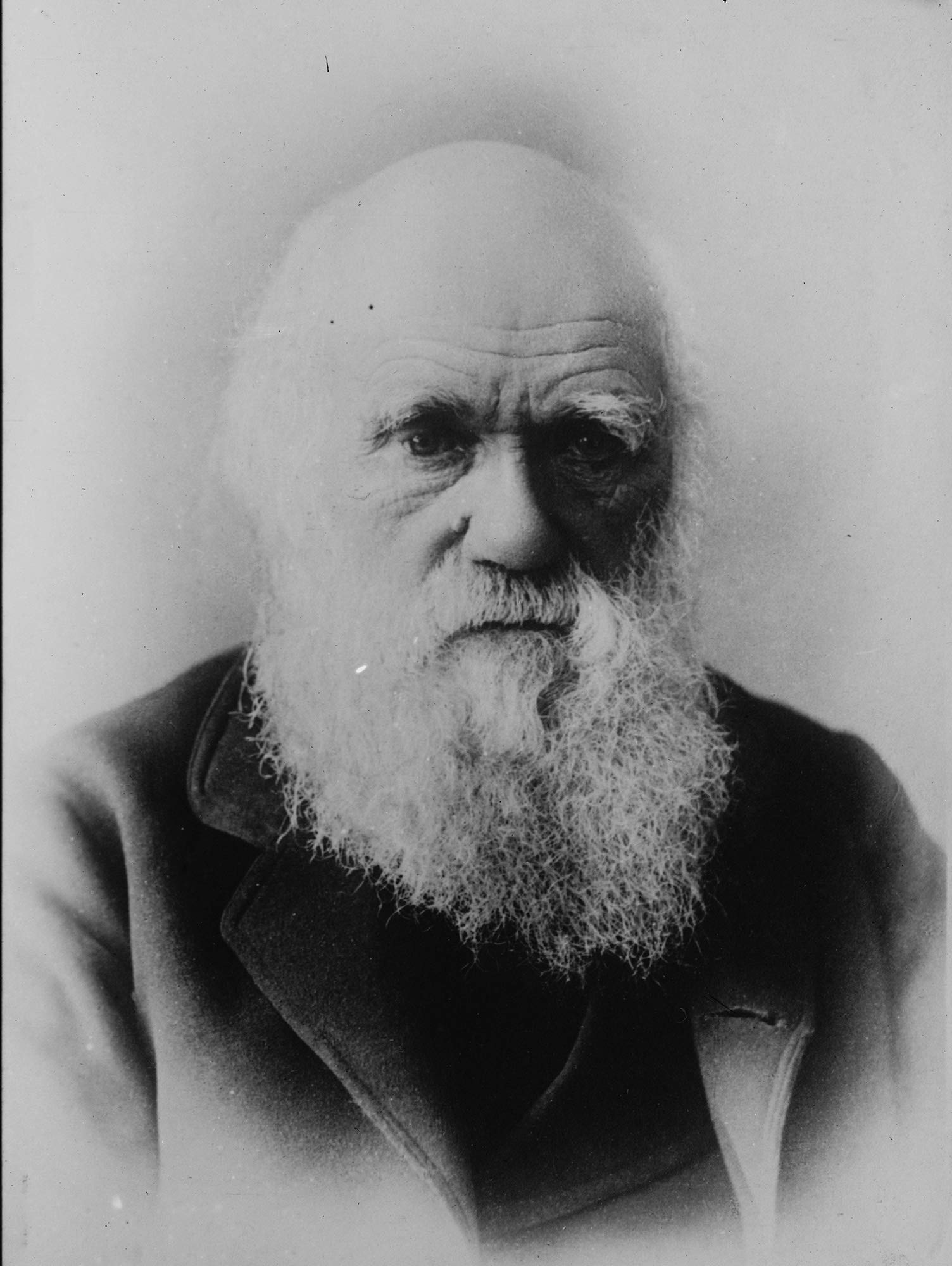 Charles Darwin